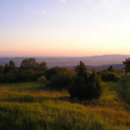 Monetti * Fiesole