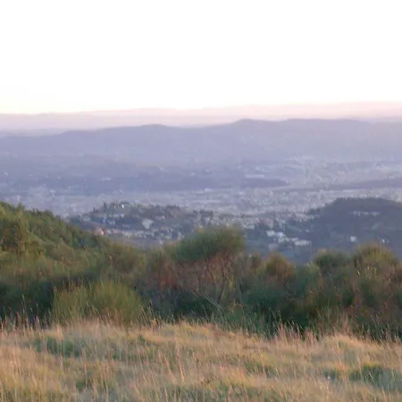 Monetti Fiesole